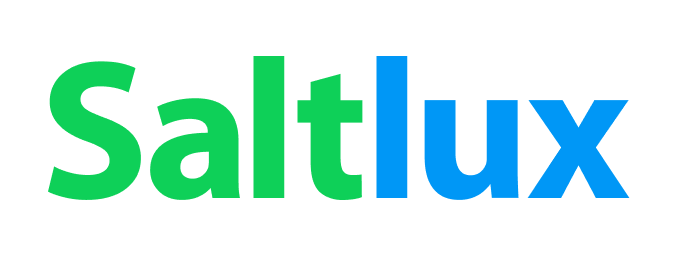 송현인베스트먼트 솔트룩스 로고